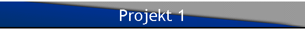 Projekt 1