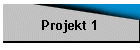 Projekt 1