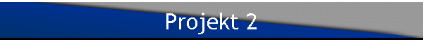 Projekt 2