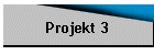 Projekt 3