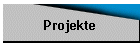 Projekte